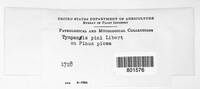 Image Associated With the Occurence